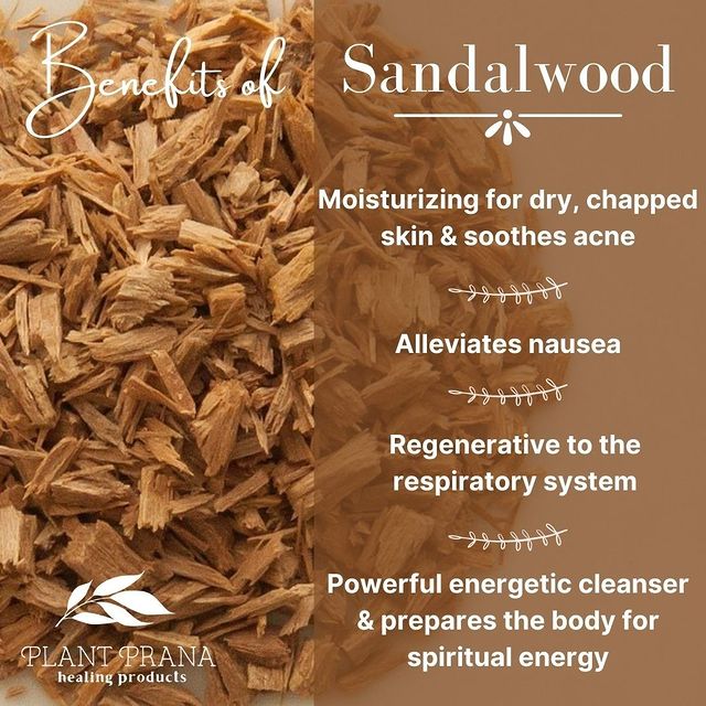 The Benefits of Sandalwood - Plant Prana Essential Oils