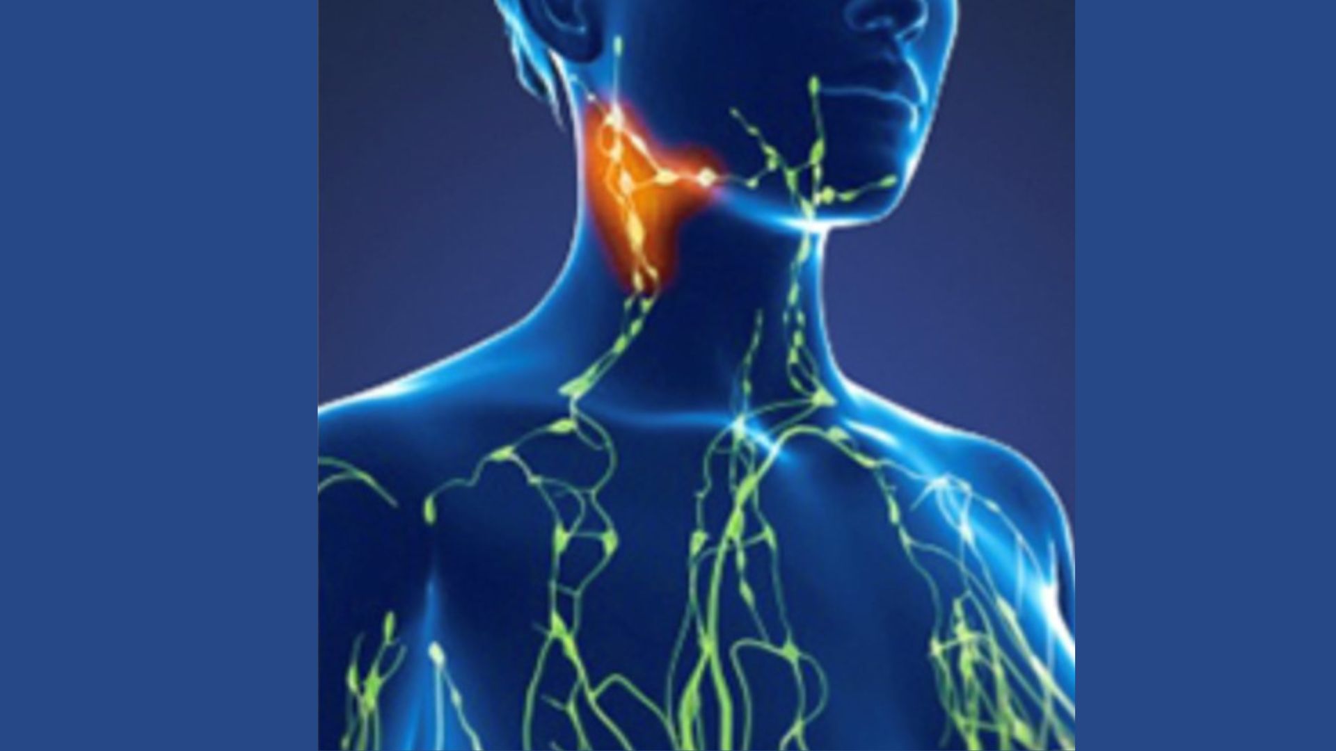 Previous Class: Lymphatic Technique Module 7: The Neck and Lymphatic ...